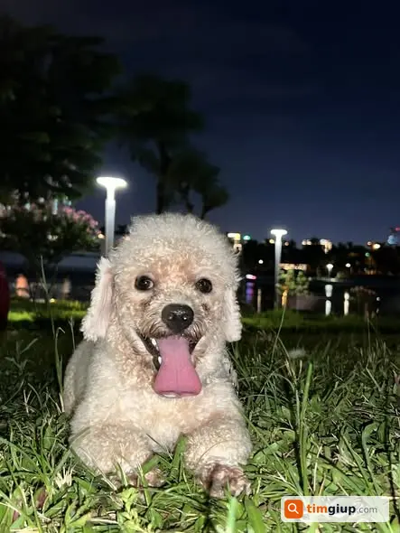 Ảnh 2