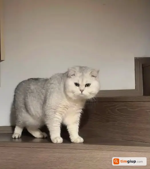 Ảnh 2