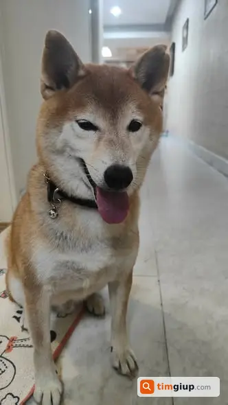 Ảnh 3