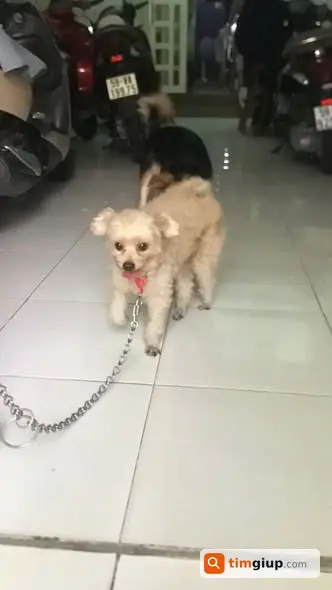 Ảnh 5