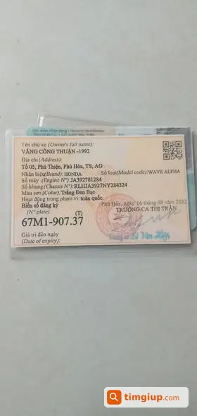 Ảnh 2