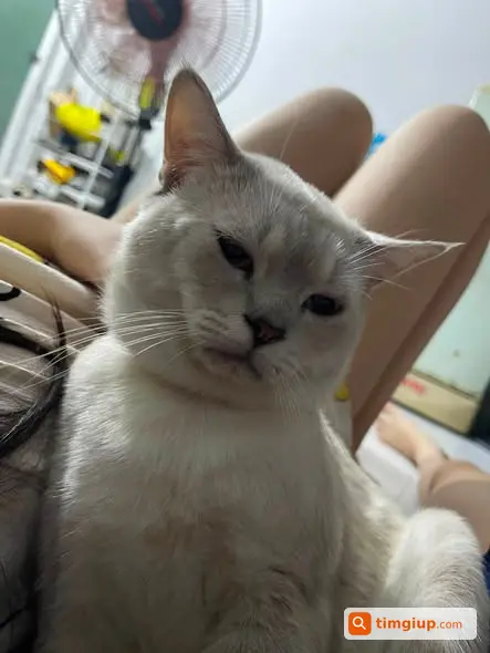 Ảnh 2