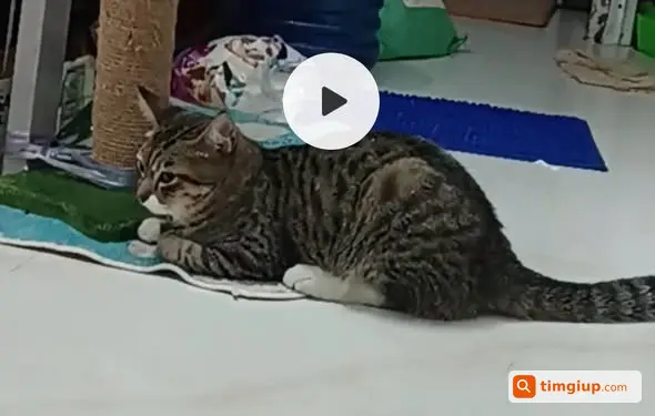 Ảnh 5
