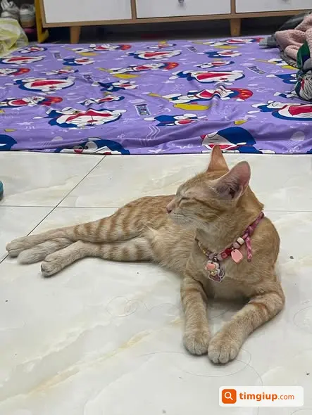Ảnh 3