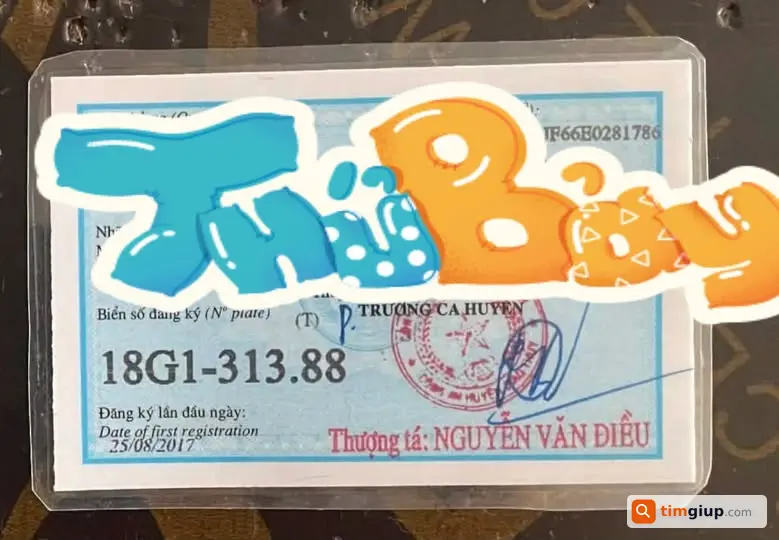 Ảnh 1
