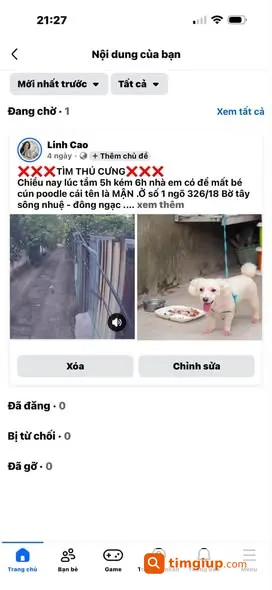 Ảnh 2