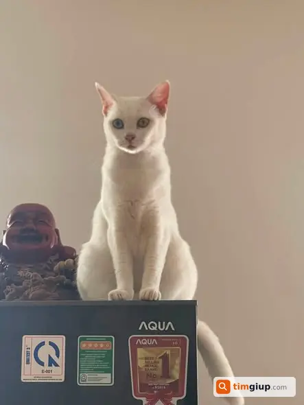 Ảnh 2