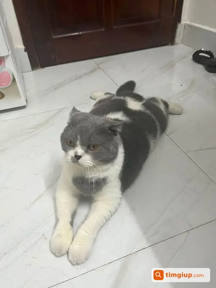 Ảnh 5