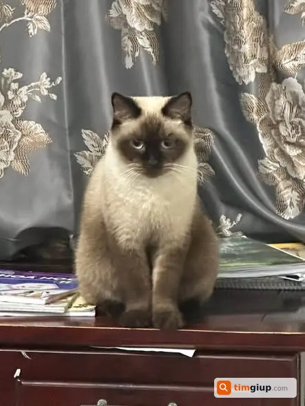Ảnh 3