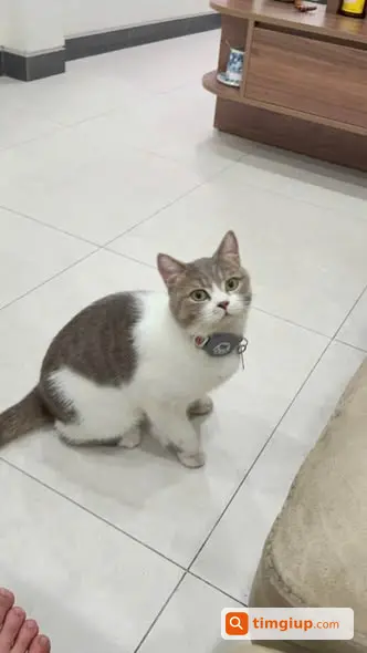 Ảnh 3
