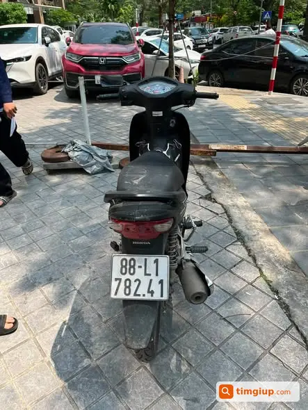 Ảnh 2