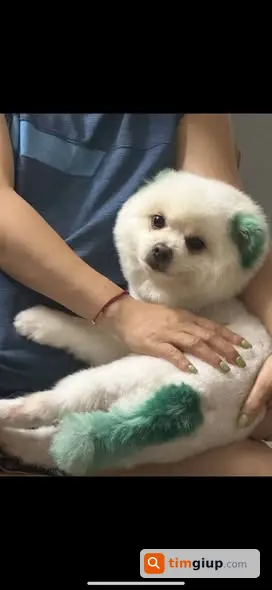 Ảnh 3