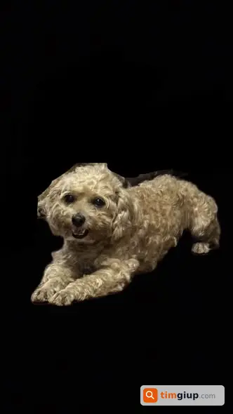 Ảnh 3