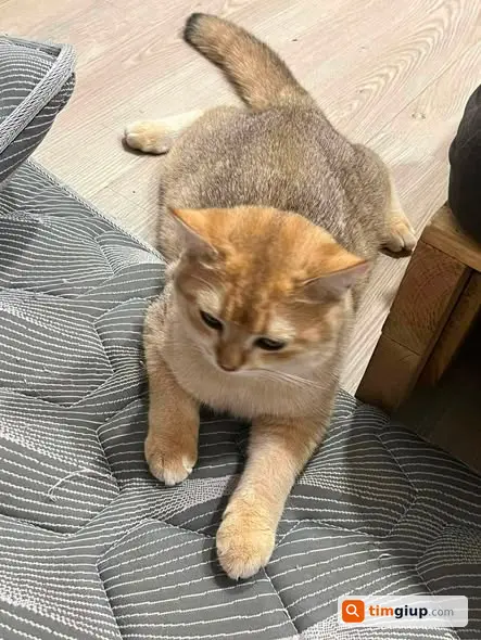Ảnh 2