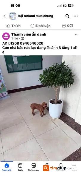 Tìm bé bị lạc khu Anland, nhờ cư dân xung quanh hỗ trợ, Hà Nội