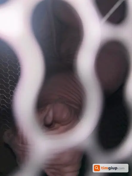 Ảnh 2