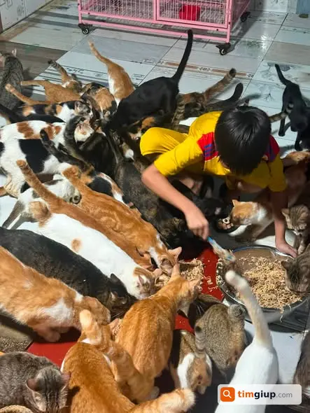 Thông Báo Hỗ Trợ Gia Đình Khó Khăn Tại Xã Lương Hoà, Tây Ninh