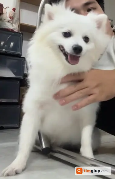 Ảnh 3