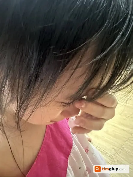 Ảnh 2