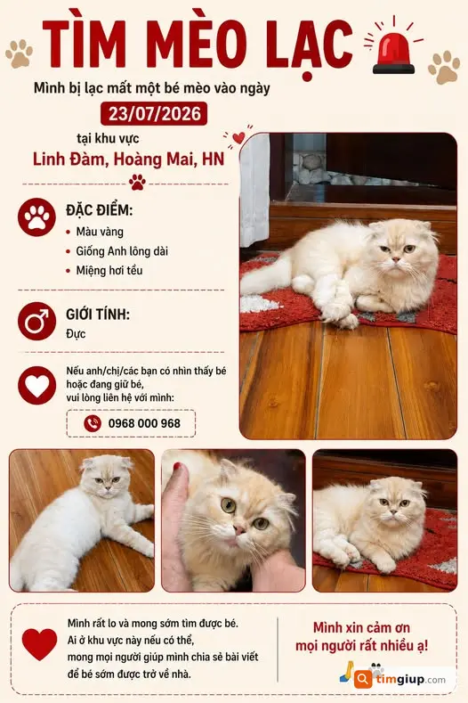 Tìm Mèo Thất Lạc Tại Khu Vực Linh Đàm, Hoàng Mai, Hà Nội