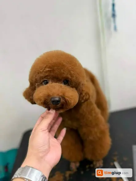 Ảnh 2