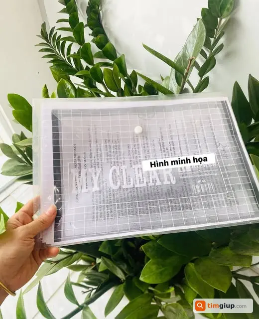 Tìm hồ sơ đăng kiểm ô tô thất lạc tại Thủy Nguyên