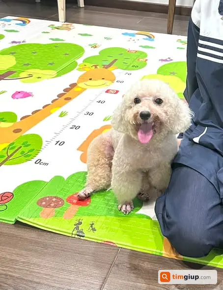 Ảnh 2