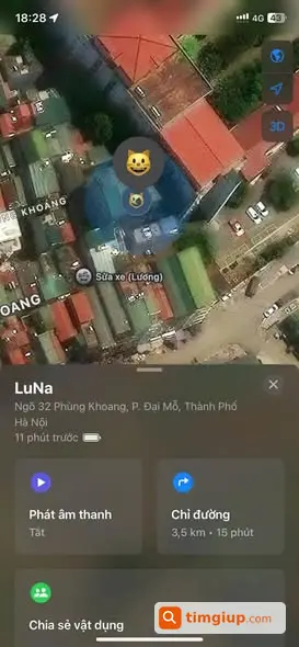 Tìm Mèo Thất Lạc Tại Phùng Khoang, Hà Nội