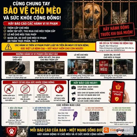Kêu gọi báo cáo điểm thu mua chó mèo trái phép toàn quốc
