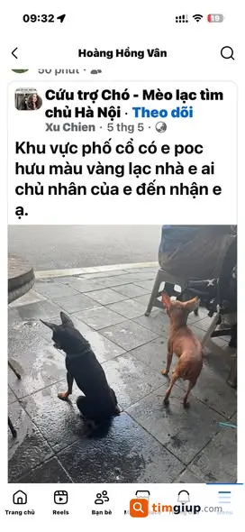 Ảnh 3