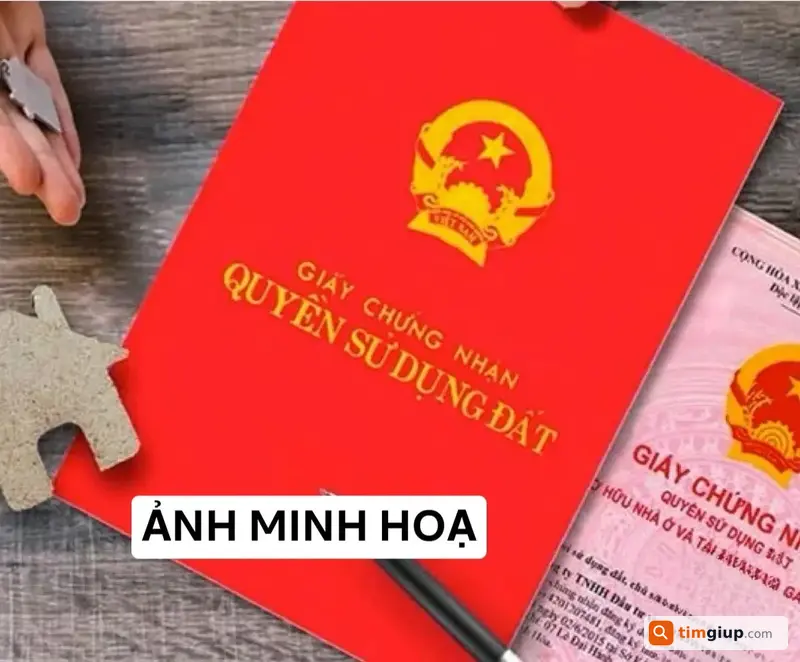 Tìm Giấy Tờ Sổ Đỏ Mang Tên Nguyễn Hiếu Hoà Tại Biên Hòa, Đồng Nai