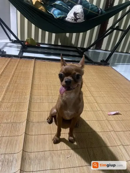Ảnh 2