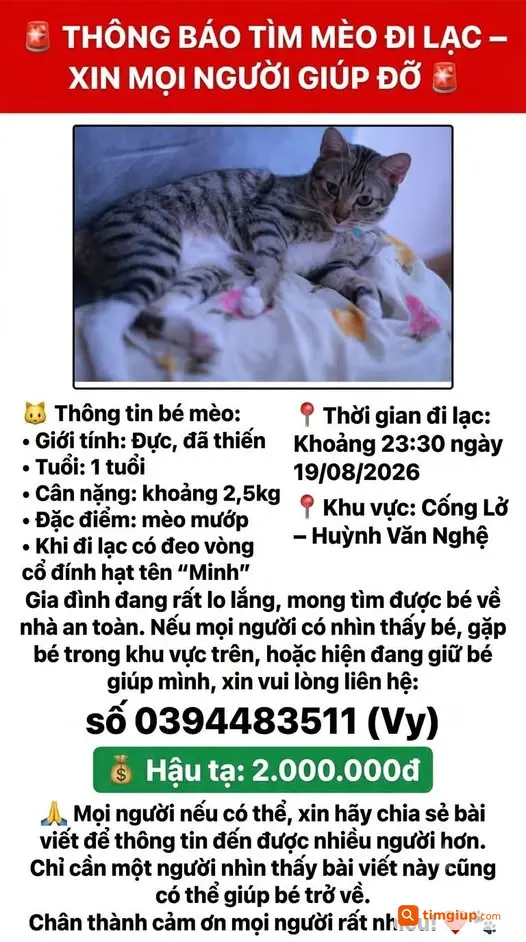 Tìm Mèo Thất Lạc Tại Cống Lở - Huỳnh Văn Nghệ