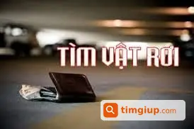 Ví Đen Rơi Trên Đường Nguyễn Thái Học Huế Về Sịa