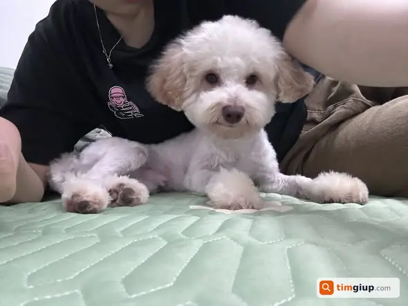 Ảnh 2