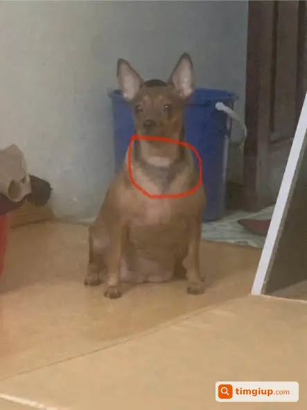 Ảnh 2