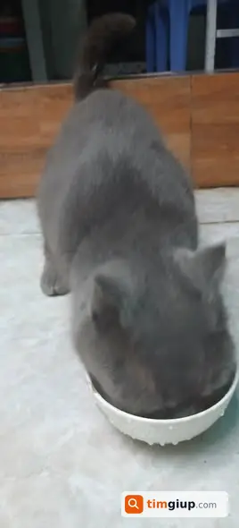 Ảnh 3