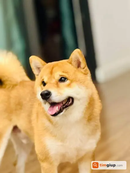 Ảnh 2