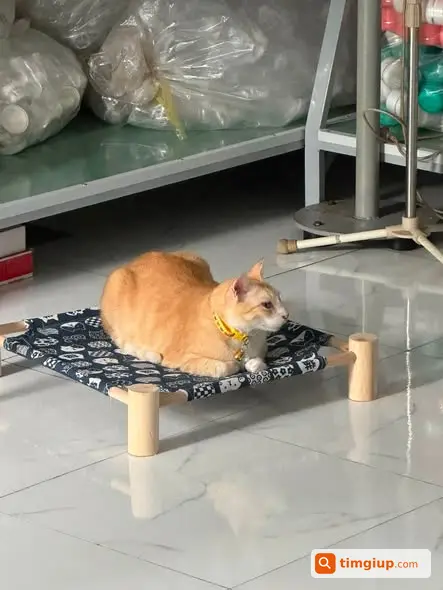 Ảnh 3