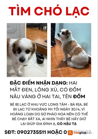 Tìm Chó Đốm Lông Trắng Đốm Nâu Thất Lạc Tại Bà Rịa