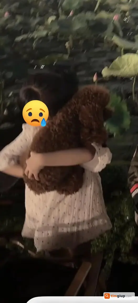 Tìm chó Poodle nâu lạc từ Xã Đàn đi chợ Long Biên, Hà Nội