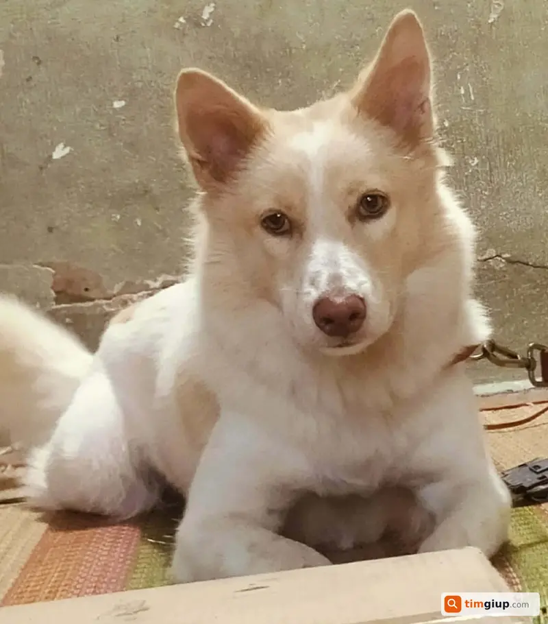 Ảnh 2