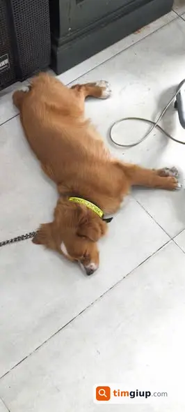 Ảnh 2