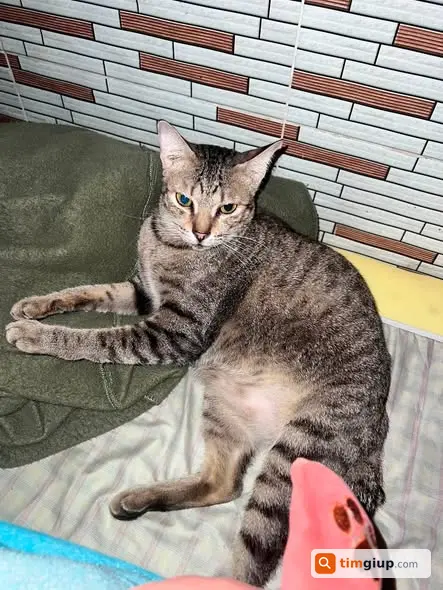 Ảnh 2