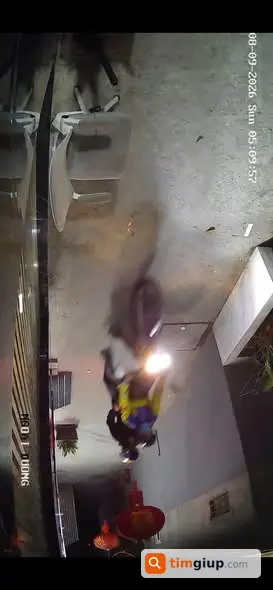 Tìm Chó Thất Lạc Bị Trộm Tại Nhà Vào Sáng Sớm