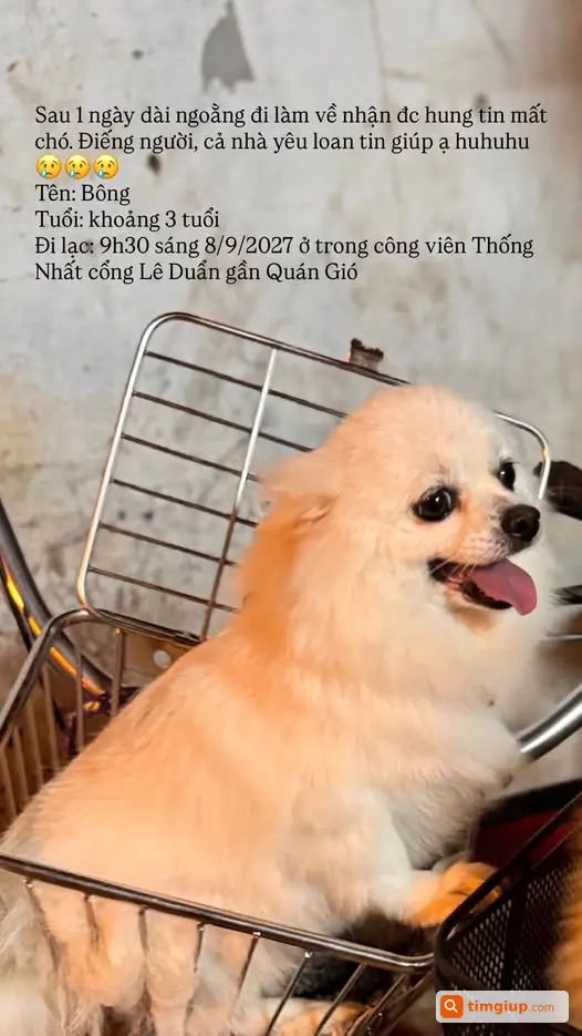 Bông Thất Lạc, Mong Mọi Người Liên Hệ Giúp