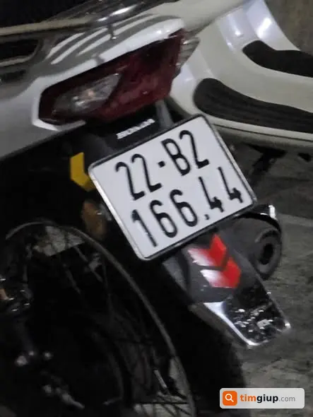 Ảnh 2