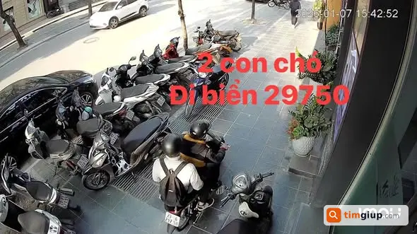 Ảnh 2
