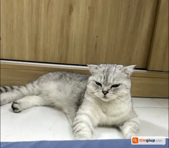 Ảnh 1