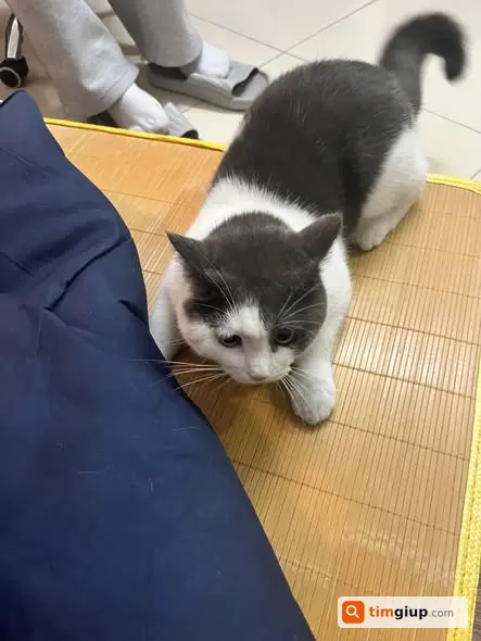 Ảnh 3